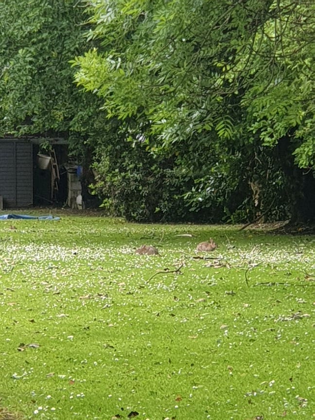 Need bedroom flat/house  Main Photo