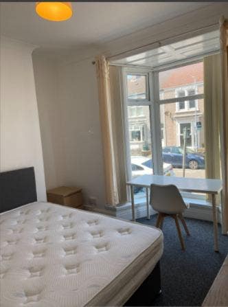 Stylish 5-bed Student House - Brynmill   Main Photo