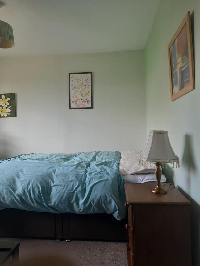 Double Room in Modern three Bedroom House Main Photo