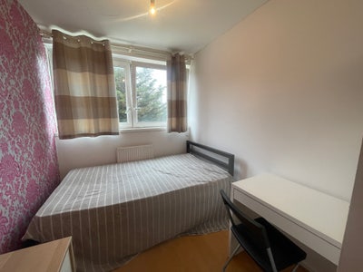 Lovely Room Near Canary Wharf/Limehouse  Main Photo