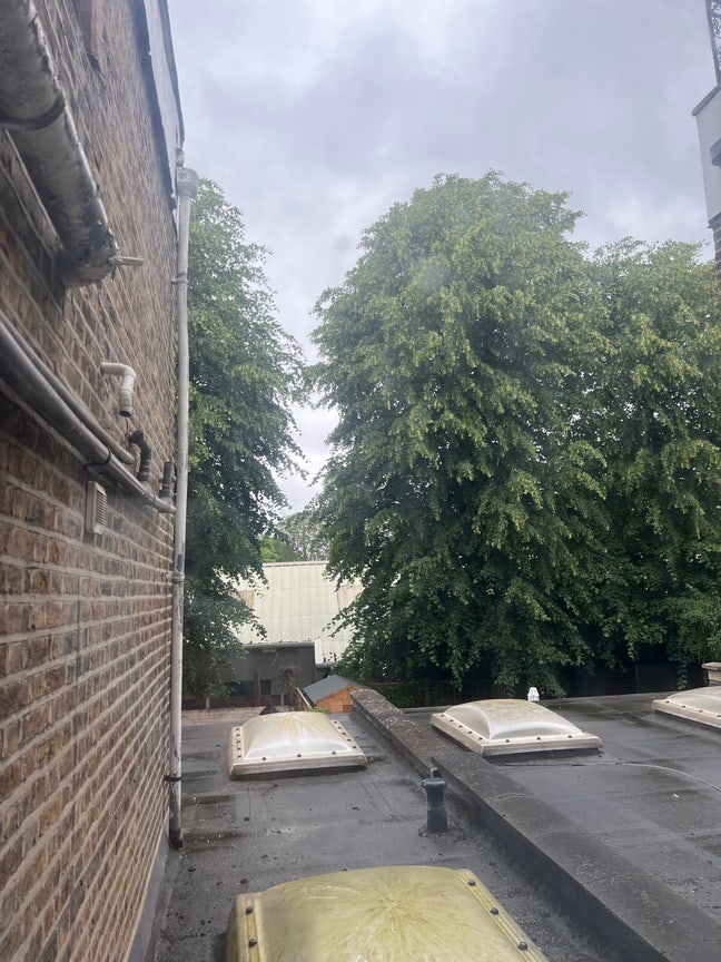 Room in Putney house share  Main Photo
