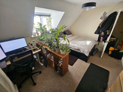 Double Room Available Main Photo