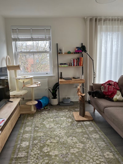 Room in Cosy Flat with 2 Cats Main Photo
