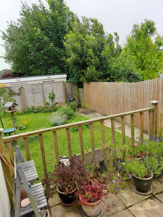 Room in lovely bright house with en suite bathroom Main Photo