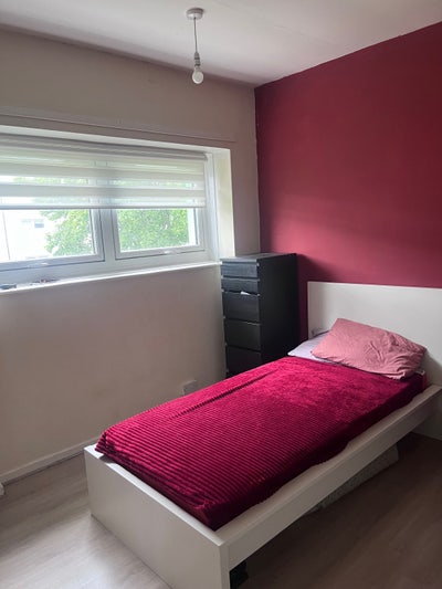 Spare room to rent Main Photo