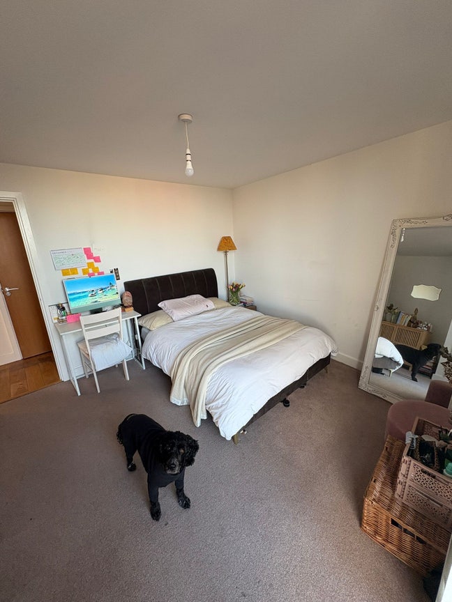 Large Sunny Room in Beautiful Hoxton  Main Photo