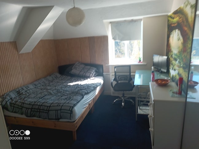 Clean large double room in 2nd floor flat.  Main Photo