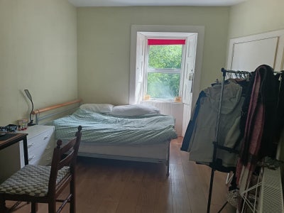 Large Double Room Available in City Centre  Main Photo
