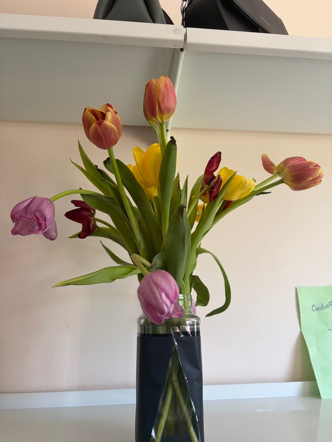 26 year old Female seeks a single or double room Main Photo