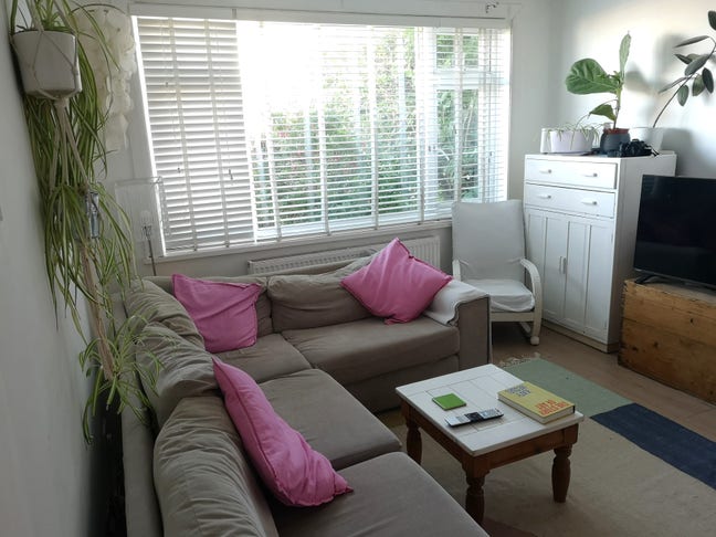Female vegan/veggie for bright single room  Main Photo