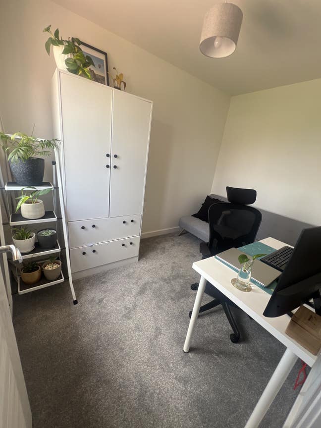 Single room available to Rent  Main Photo