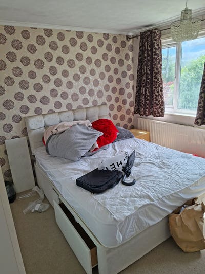 New flatmate wanted Main Photo