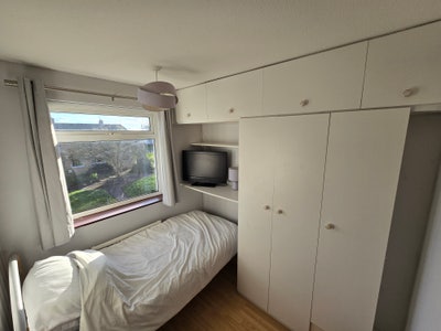 Single bedroom available  Main Photo