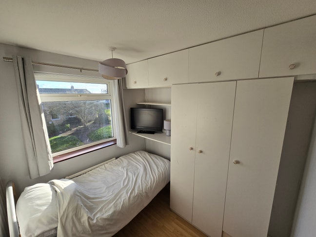 Single bedroom available  Main Photo