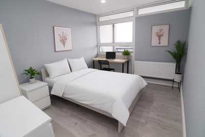 🎏 Large Double Room a few steps from Canada Water  Main Photo