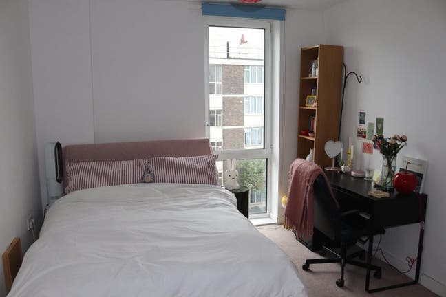 Room in Stepney with 2 female flatmates Main Photo