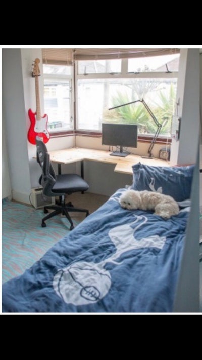 Sunny Room in a Convenient Location Main Photo