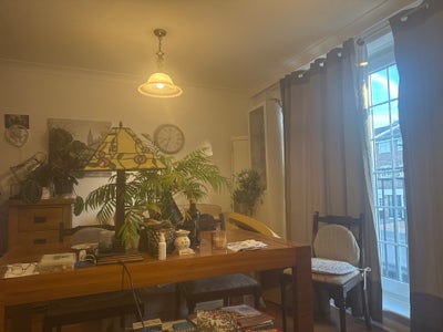 Friendly easygoing household  Main Photo