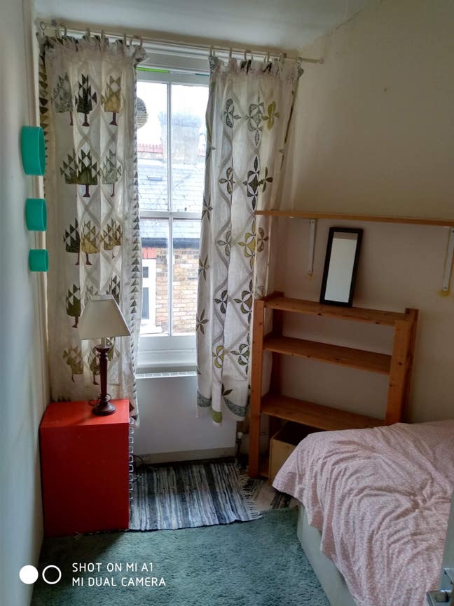 Single room in spacious edwardian house Main Photo