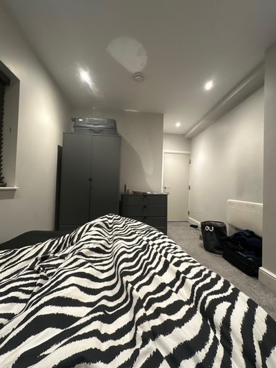 Roommate needed Main Photo