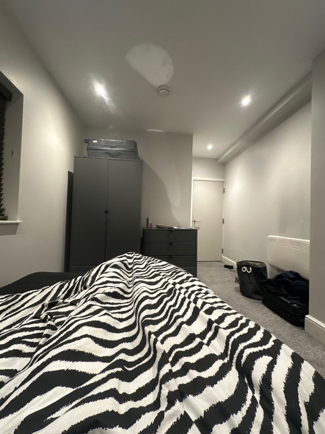 Roommate needed Main Photo