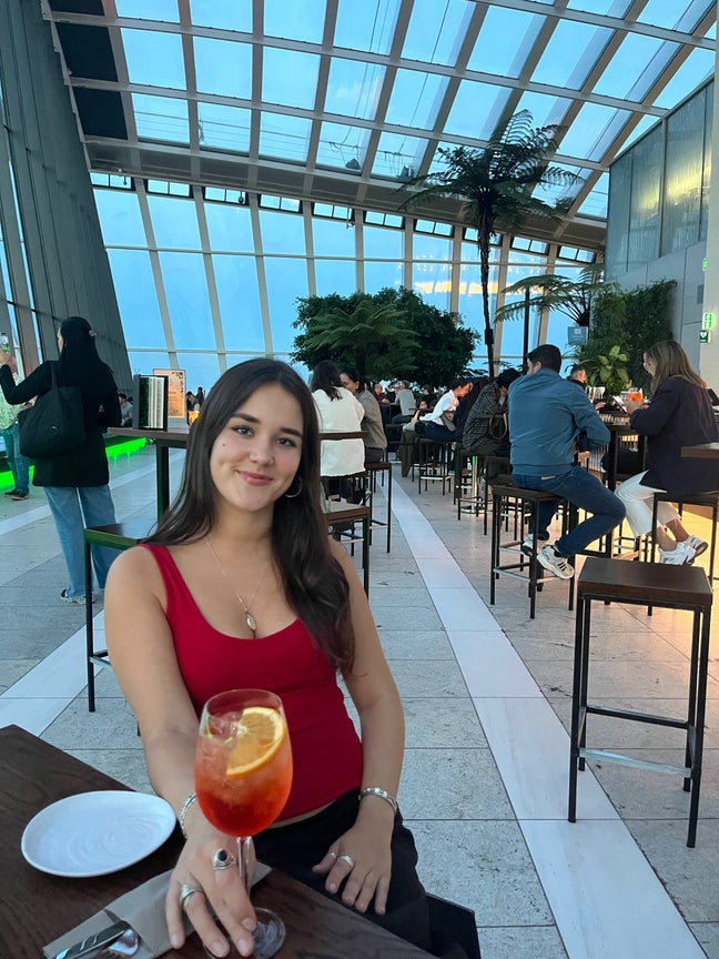 Young professional looking for summer let  Main Photo