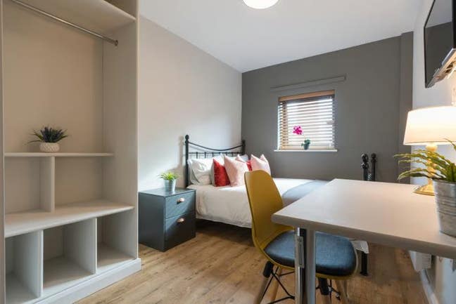 Ensuite Room at Byron Lofts – Available Now Main Photo