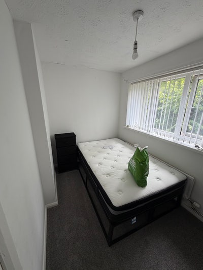 Furnished room available  Main Photo