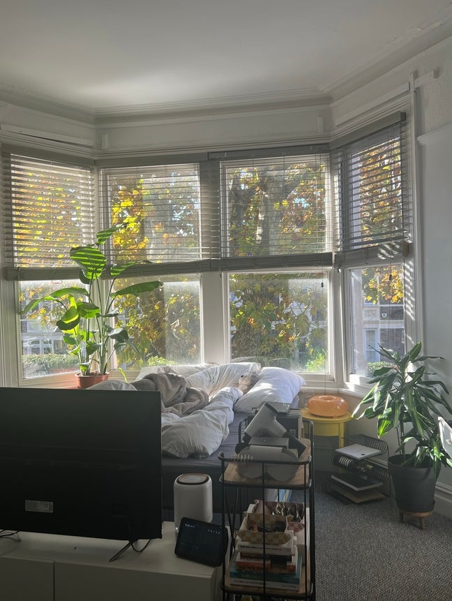 2 large rooms available near Gloucester Road  Main Photo