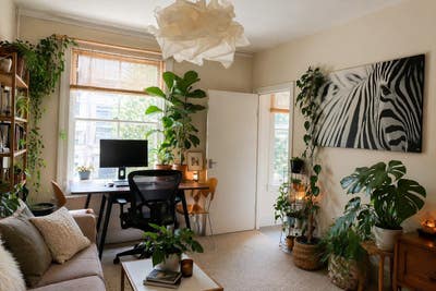  Bright and Sunny room in Stoke Newington Main Photo