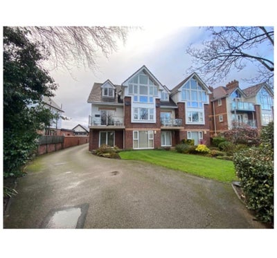 Looking for a flatmate Main Photo