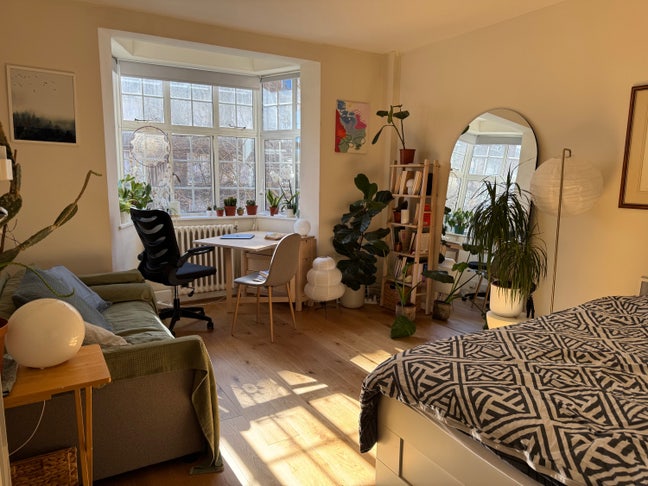 Central London Cosy Studio Flat (Bloomsbury) Main Photo
