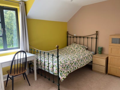 En-suite double room in peaceful, modern home. Main Photo