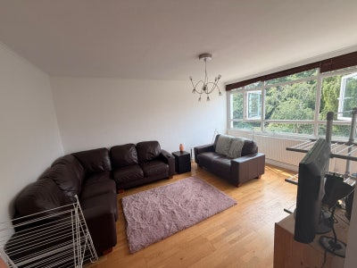 Room in Spacious Putney Flat Main Photo