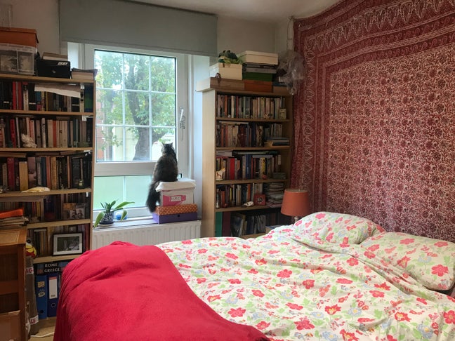 Double room offered in flat share Main Photo