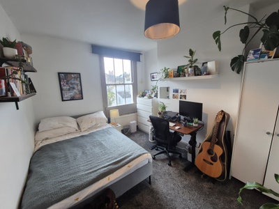 Sunny room in East London w/ garden and bonus cat Main Photo