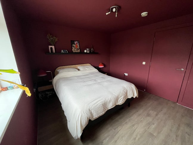 Deptford king size room 3 month let  Main Photo