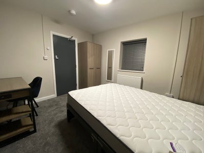 Professional house share IP1 Main Photo