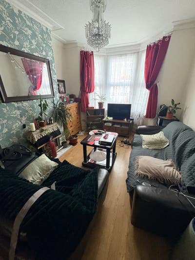 Spacious single room in Belvedere available now. Main Photo