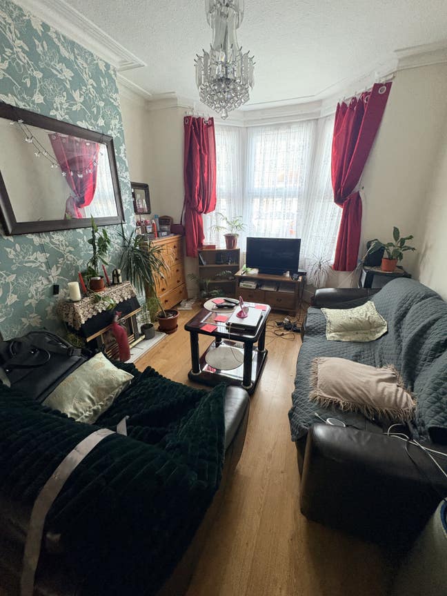Spacious single room in Belvedere available now. Main Photo