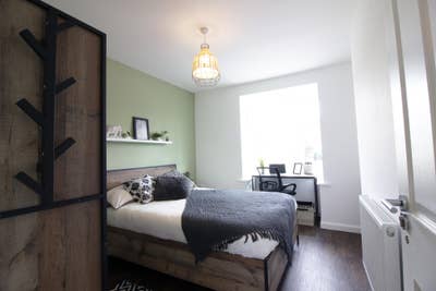 🌿 Spacious and Modern Luxury Room 🌿 Main Photo