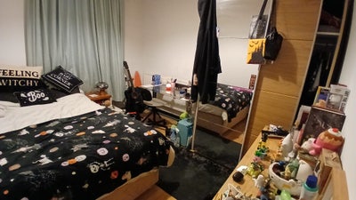 Housemate Wanted Main Photo