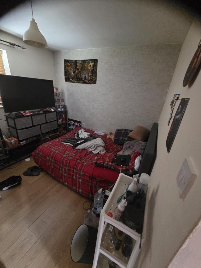 Double room  Main Photo