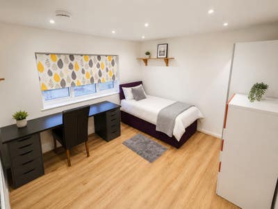 Modern Double Room  Main Photo