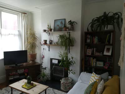 Attic room in friendly Sharrow Vale houseshare Main Photo