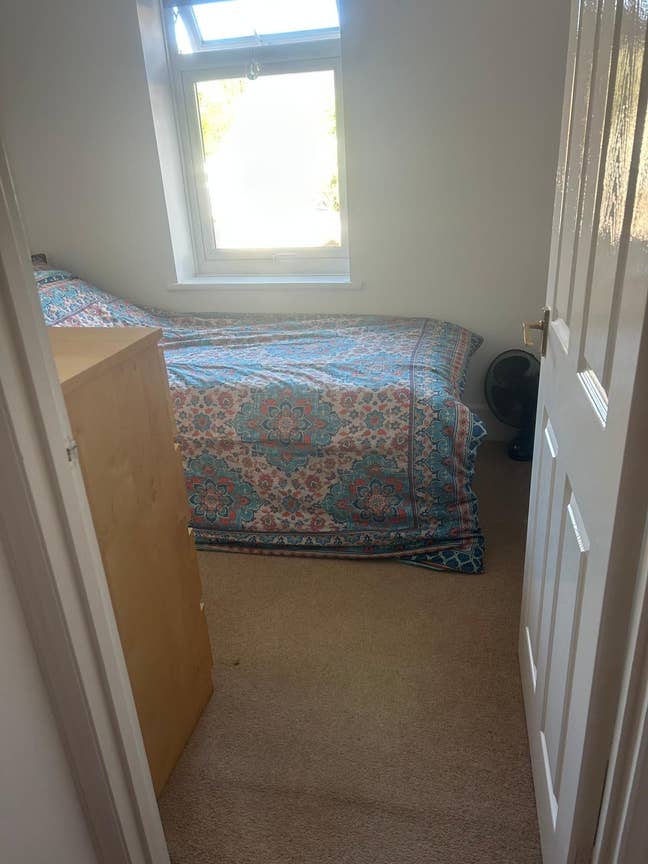 Single room, fully furnished Main Photo