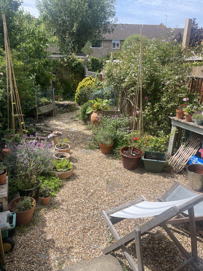 Double room in quiet house. Must be a cat lover! Main Photo