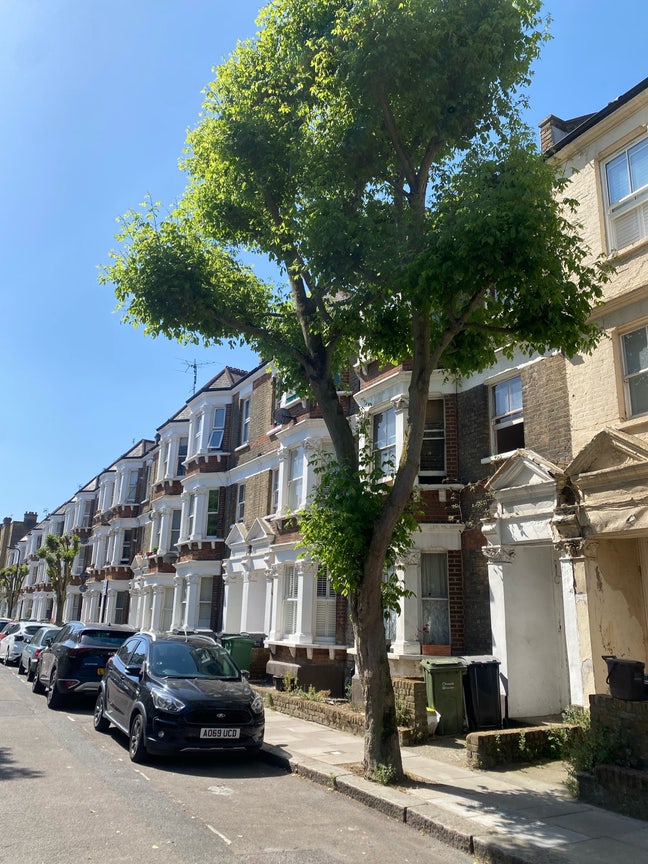 1 bed for rent in Camden Main Photo