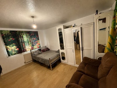 1 large room with exclusive bathroom Main Photo