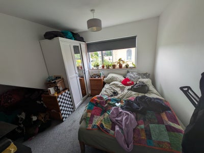 Double room in tidy, friendly house share BS5 Main Photo
